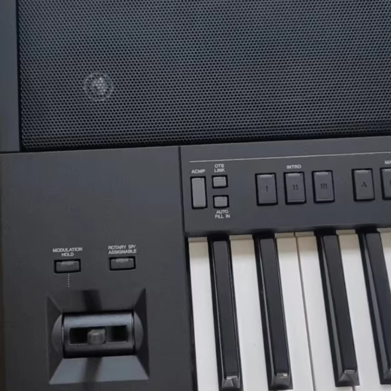 Teclado Eletrônico Digital Por - Musical Instrument Organ avaliação e preço