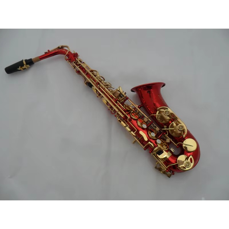 Saxofone alto e-flat personali - Musical Instrument Bassoon avaliação e preço